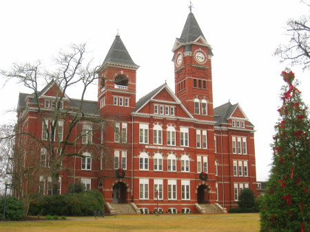 university of auburn std rates