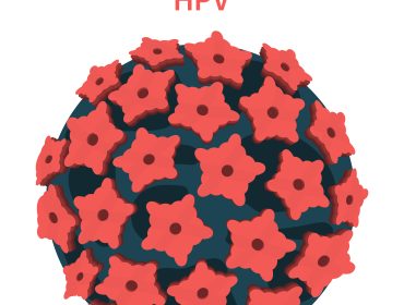 human papillomavirus